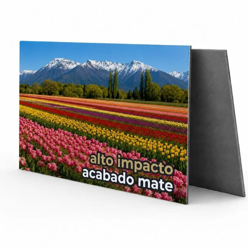 [PLACASUV36] Alto Impacto Acabado Mate Impreso UV 1.5 mm 120 x 242 cm